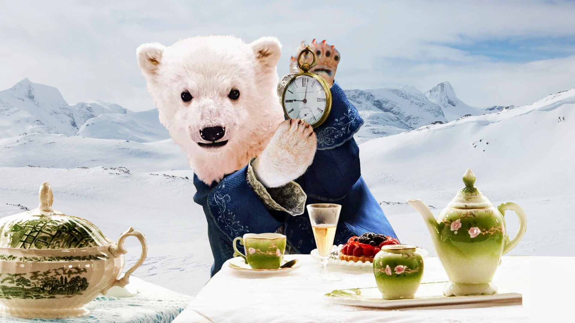 Le temps presse pour les ours